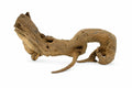 Lemn natural decor acvariu Geler Coral Wood, pret per kg