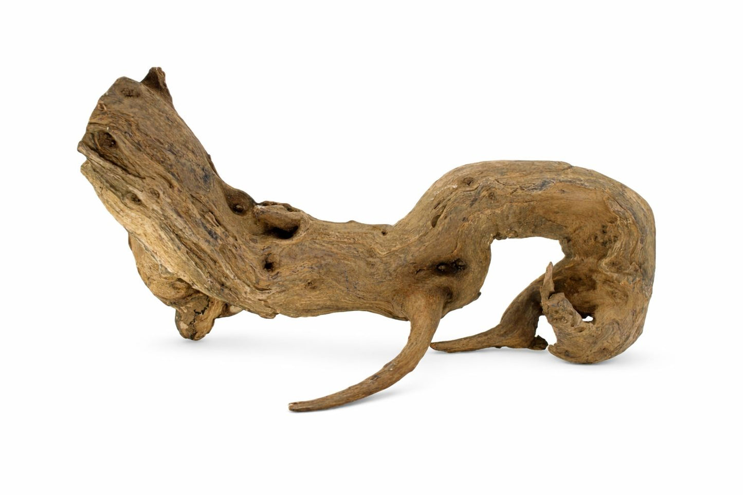 Lemn natural decor acvariu Geler Coral Wood, pret per kg