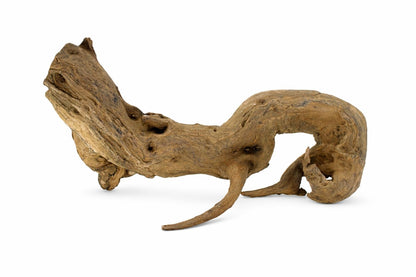 Lemn natural decor acvariu Geler Coral Wood, pret per kg