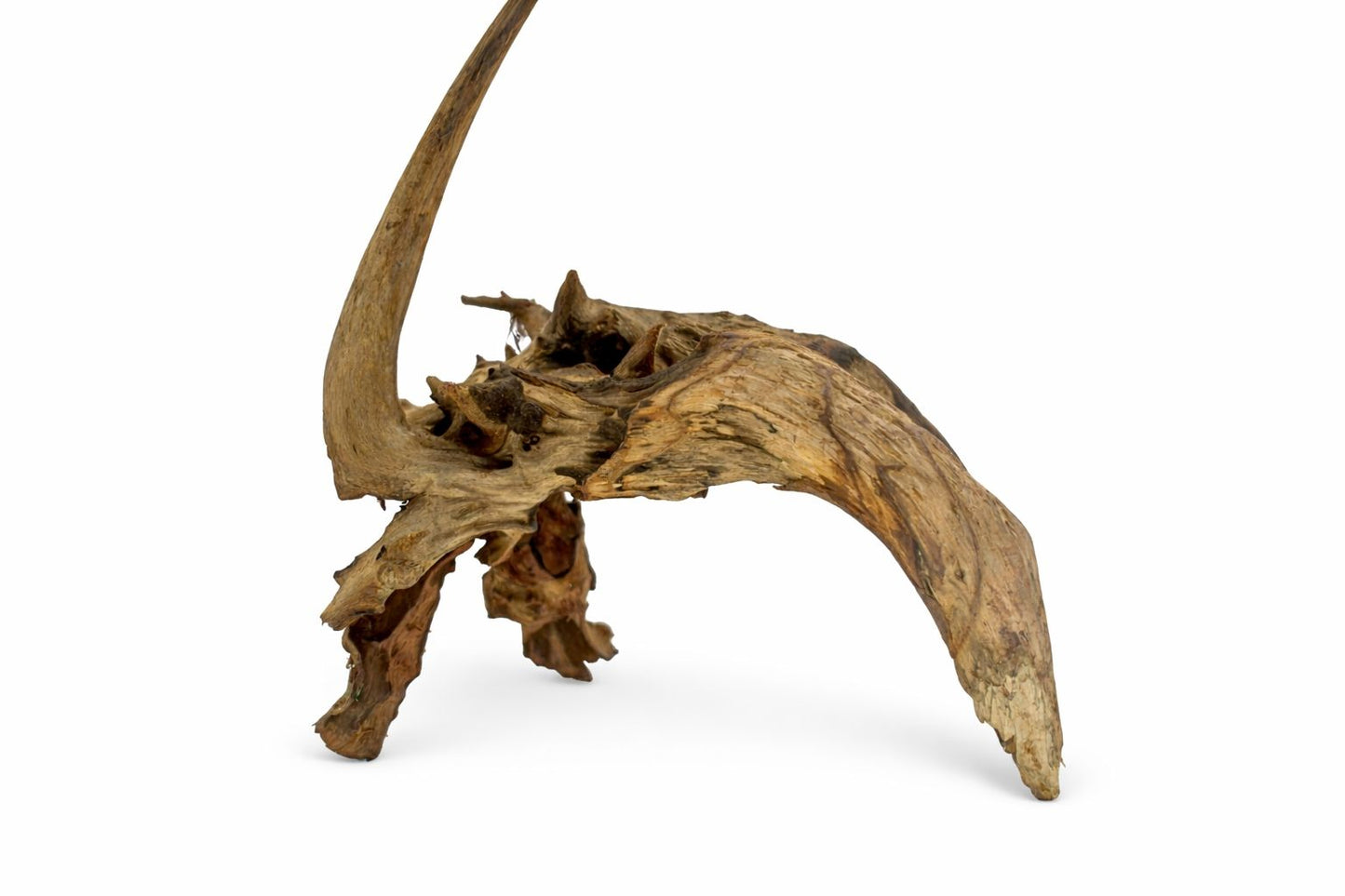 Lemn natural decor acvariu Geler Coral Wood, pret per kg