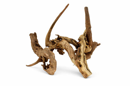 Lemn natural decor acvariu Geler Coral Wood, pret per kg