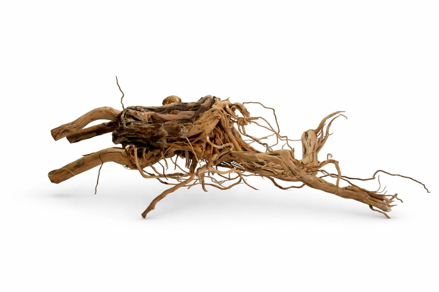 Decor acvariu radacina Geler Twist Root, pret per kg