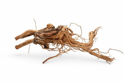 Decor acvariu radacina Geler Twist Root, pret per kg