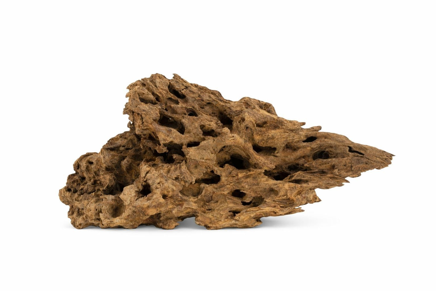 Decor acvariu lemn natural Geler Shrimp Wood, pret per kg