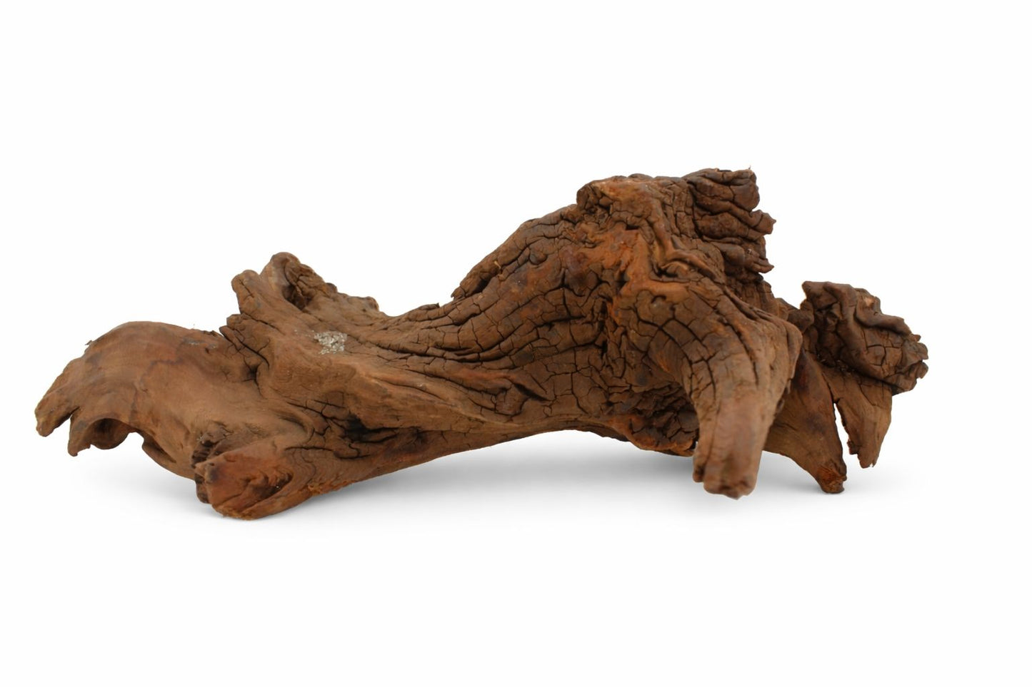 Decor acvariu lemn natural Mangrove M, pret per kg