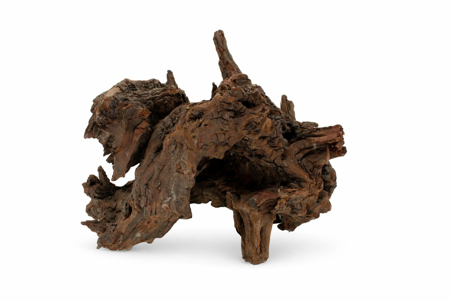 Decor acvariu lemn natural Mangrove M, pret per kg