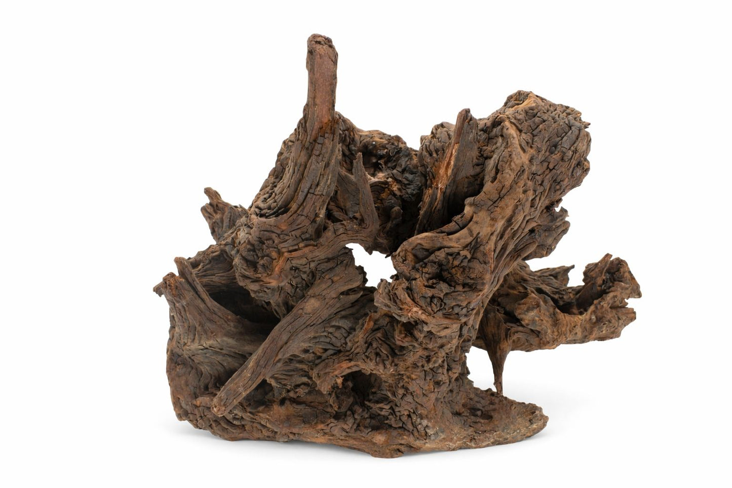 Decor acvariu lemn natural Mangrove M, pret per kg