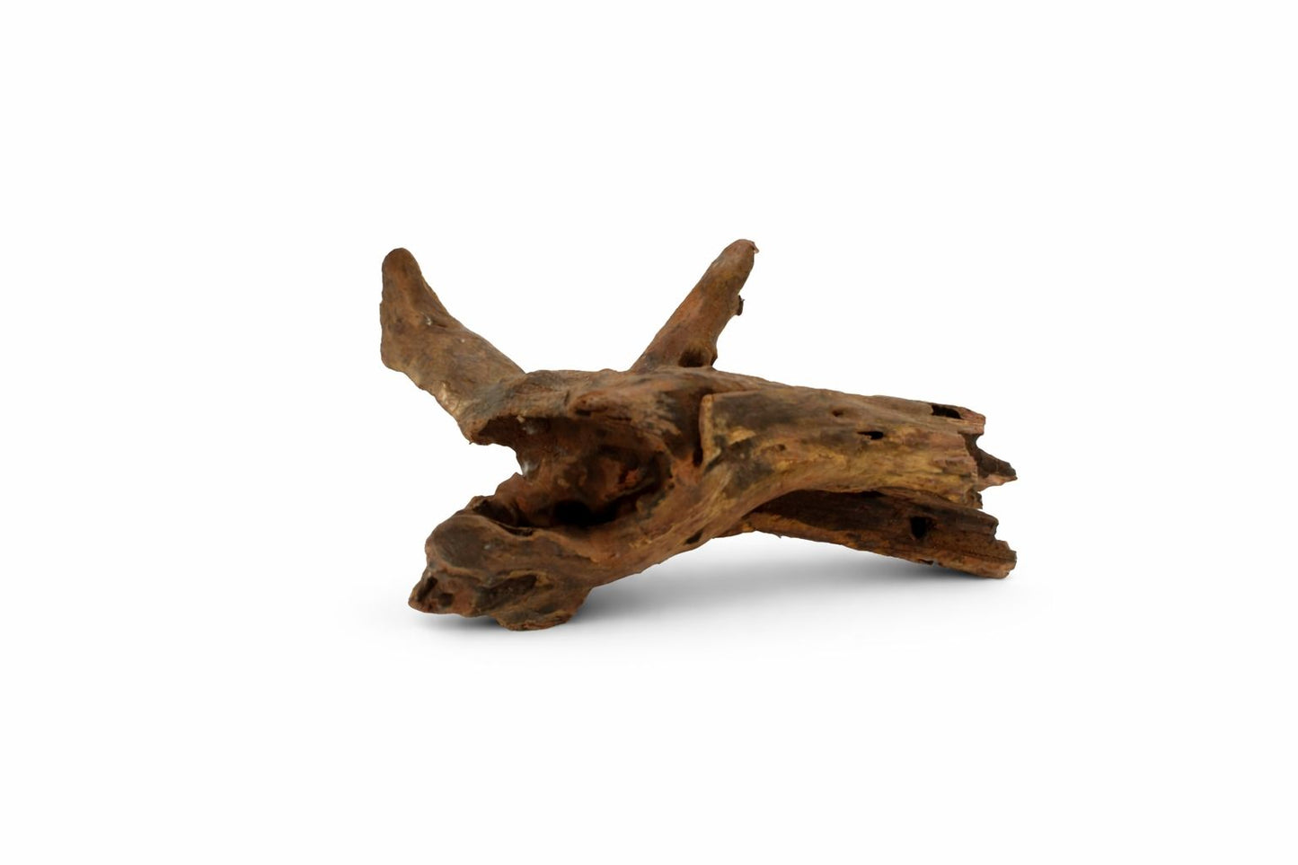 Decor acvariu lemn natural Mangrove S, pret per kg