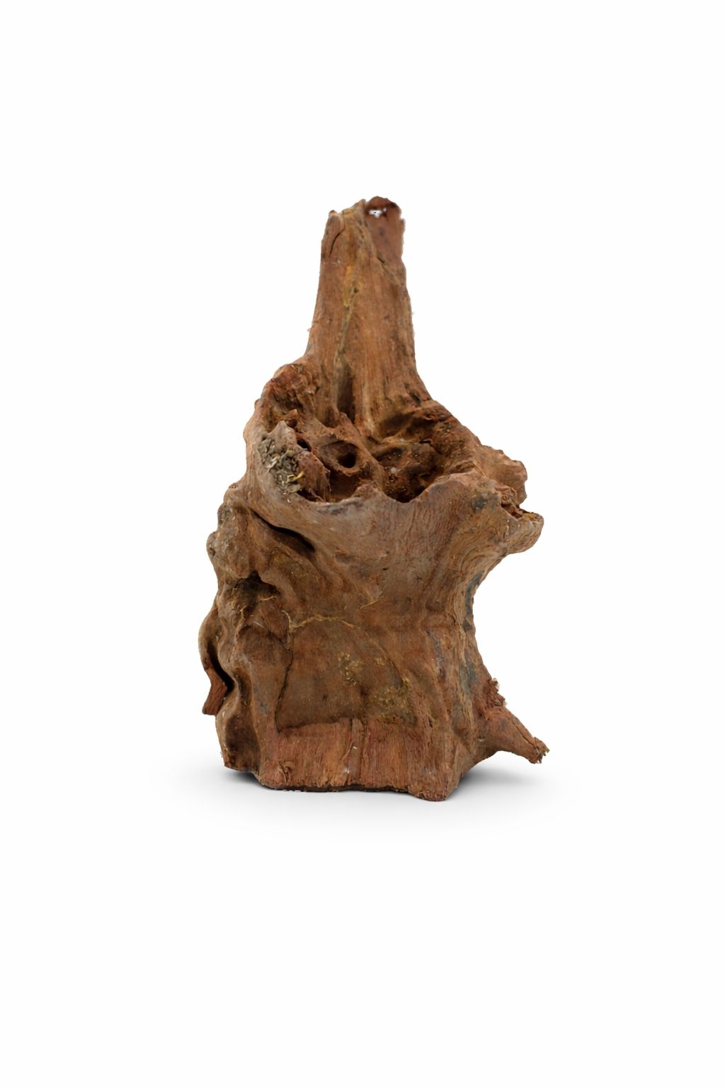 Decor acvariu lemn natural Mangrove S, pret per kg