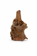 Decor acvariu lemn natural Mangrove S, pret per kg