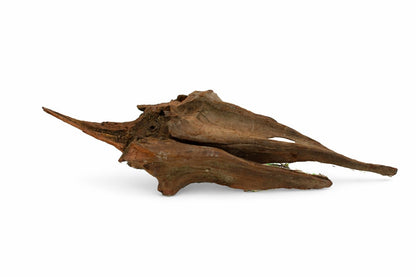 Decor acvariu lemn natural Mangrove S, pret per kg