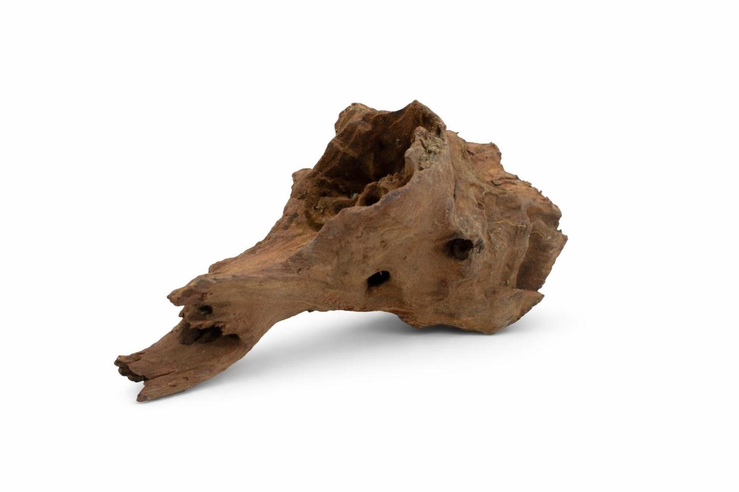 Decor acvariu lemn natural Mangrove S, pret per kg