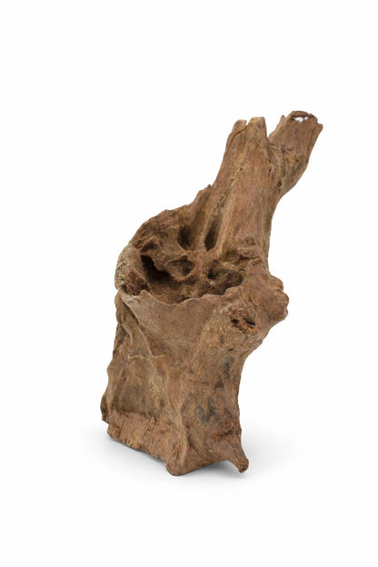 Decor acvariu lemn natural Mangrove S, pret per kg