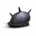 Melc Clithon thorn black 0,5-1 cm