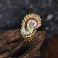 melc Cerithidea balteata sp King pe frunza in acvariu