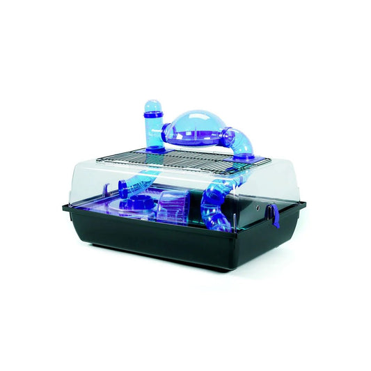 Cusca hamsteri transparenta