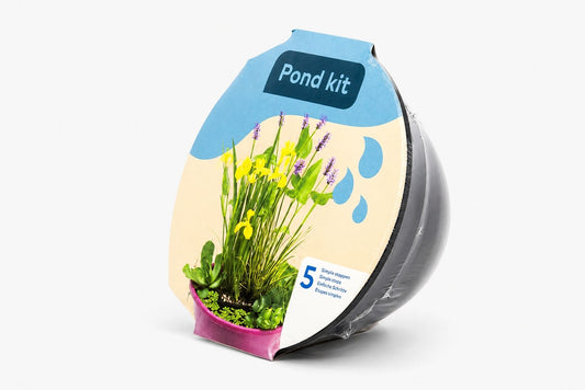 Set mini iaz pentru terasa cu plante acvatice, Moerings