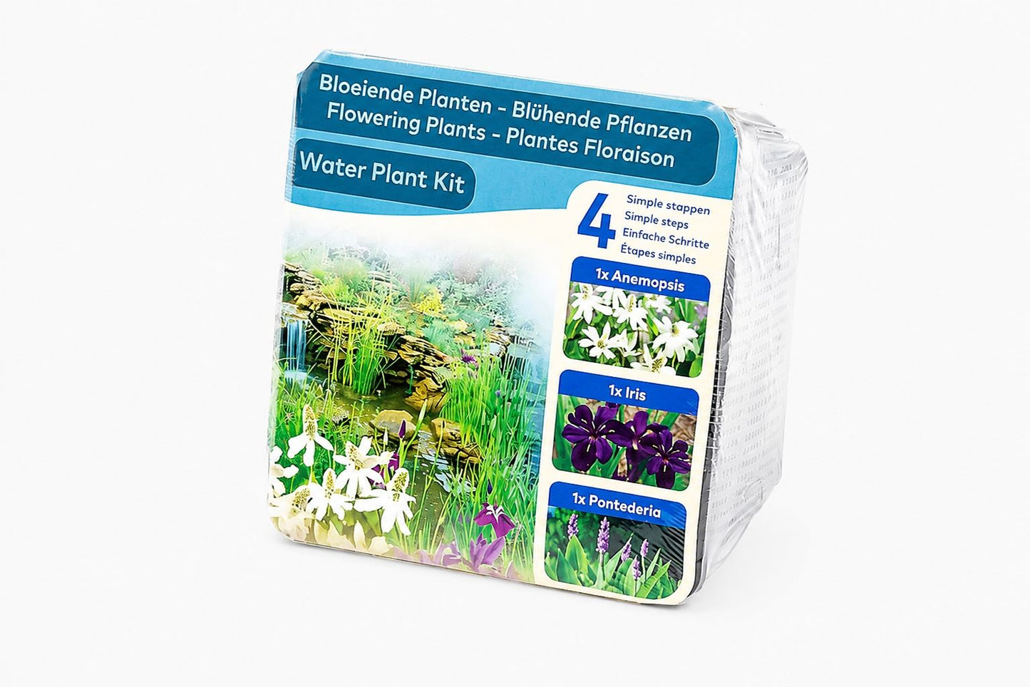 Kit complet plante de iaz cu flori Anemopsis, Iris si Pontederia, Moerings