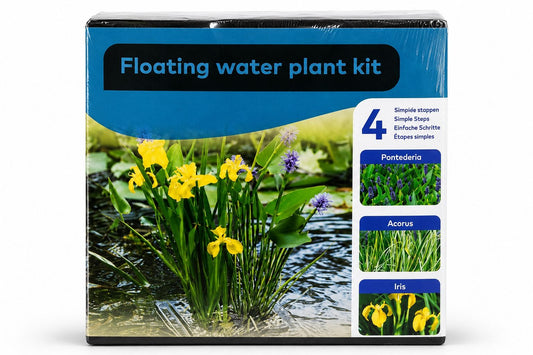kit plante de iaz cu inel plutitor Pontederia Acorus si Iris Moerings