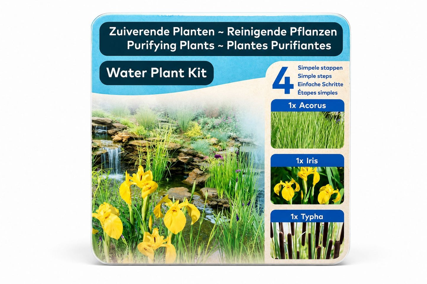 Kit complet plante purificatoare pentru iaz, Moerings