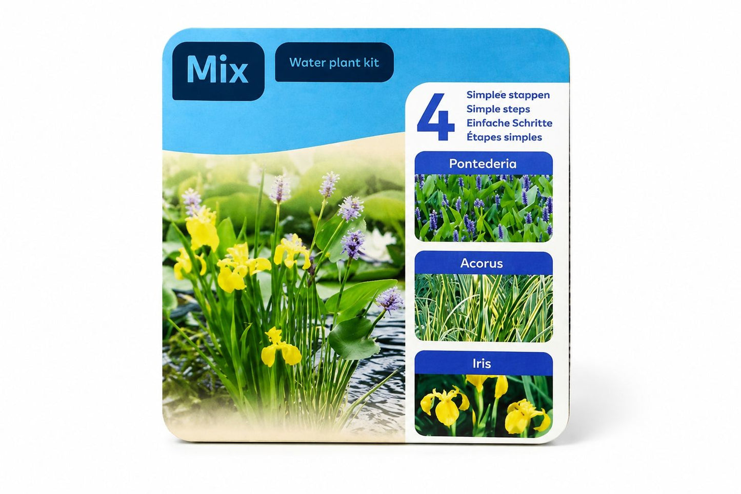 Cos mixt cu 3 plante pentru iaz, Moerings