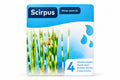 Kit complet Scirpus Zebrinus pentru iaz, Moerings