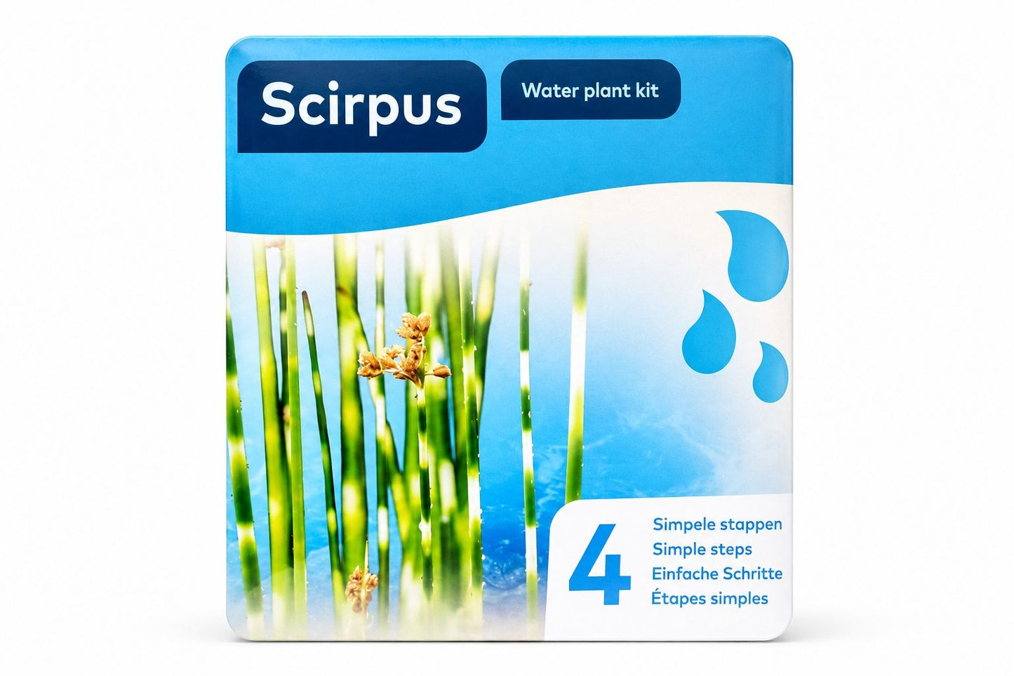 Kit complet Scirpus Zebrinus pentru iaz, Moerings