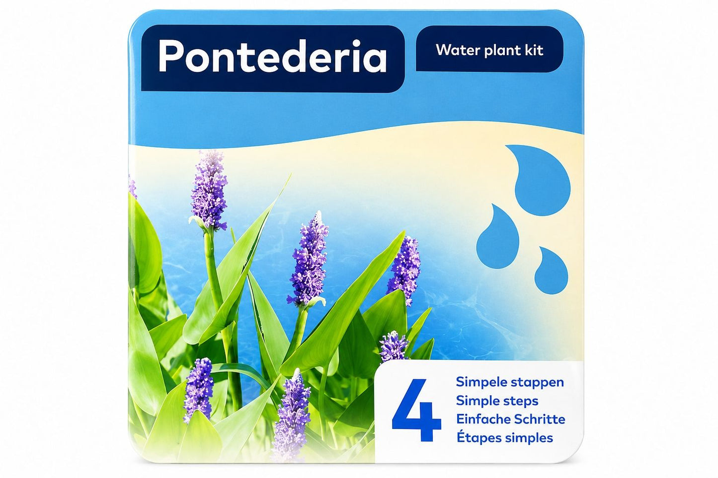Kit complet Pontederia pentru iaz, Moerings