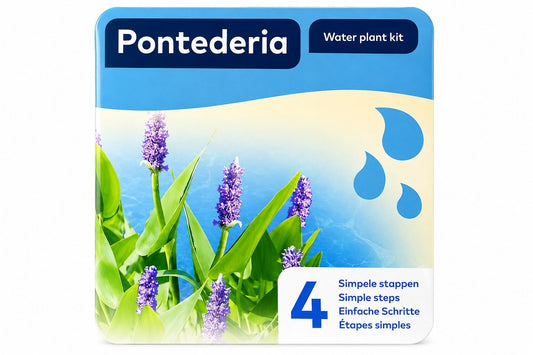 Pontederia cu flori violet pe ambalaj Water Plant Kit Moerings