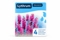 Kit complet plante de iaz Lythrum pink, Moerings