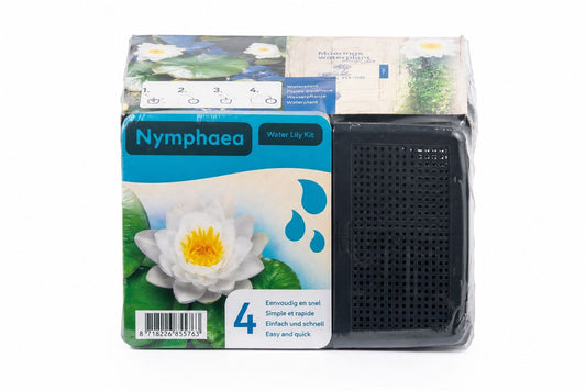 Kit complet nufar alb pentru iaz, Moerings