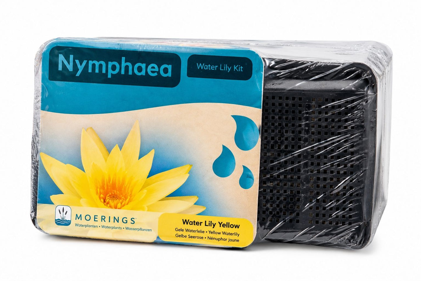 Kit complet nufar galben pentru iaz, Moerings