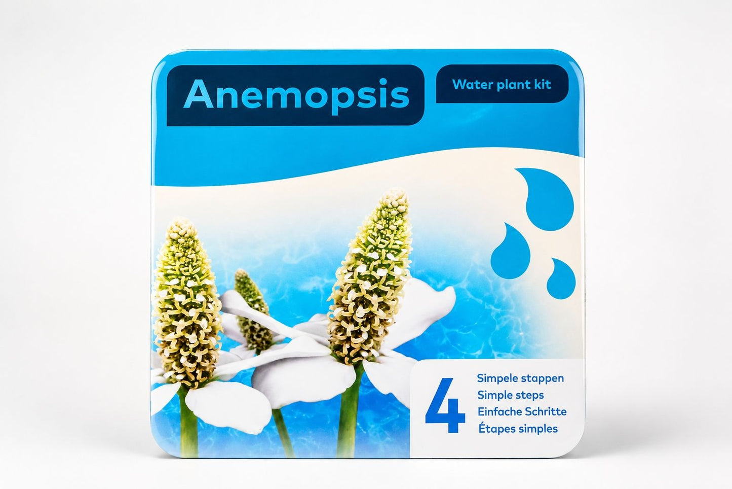 Kit complet plante de iaz Anemopsis californica, Moerings