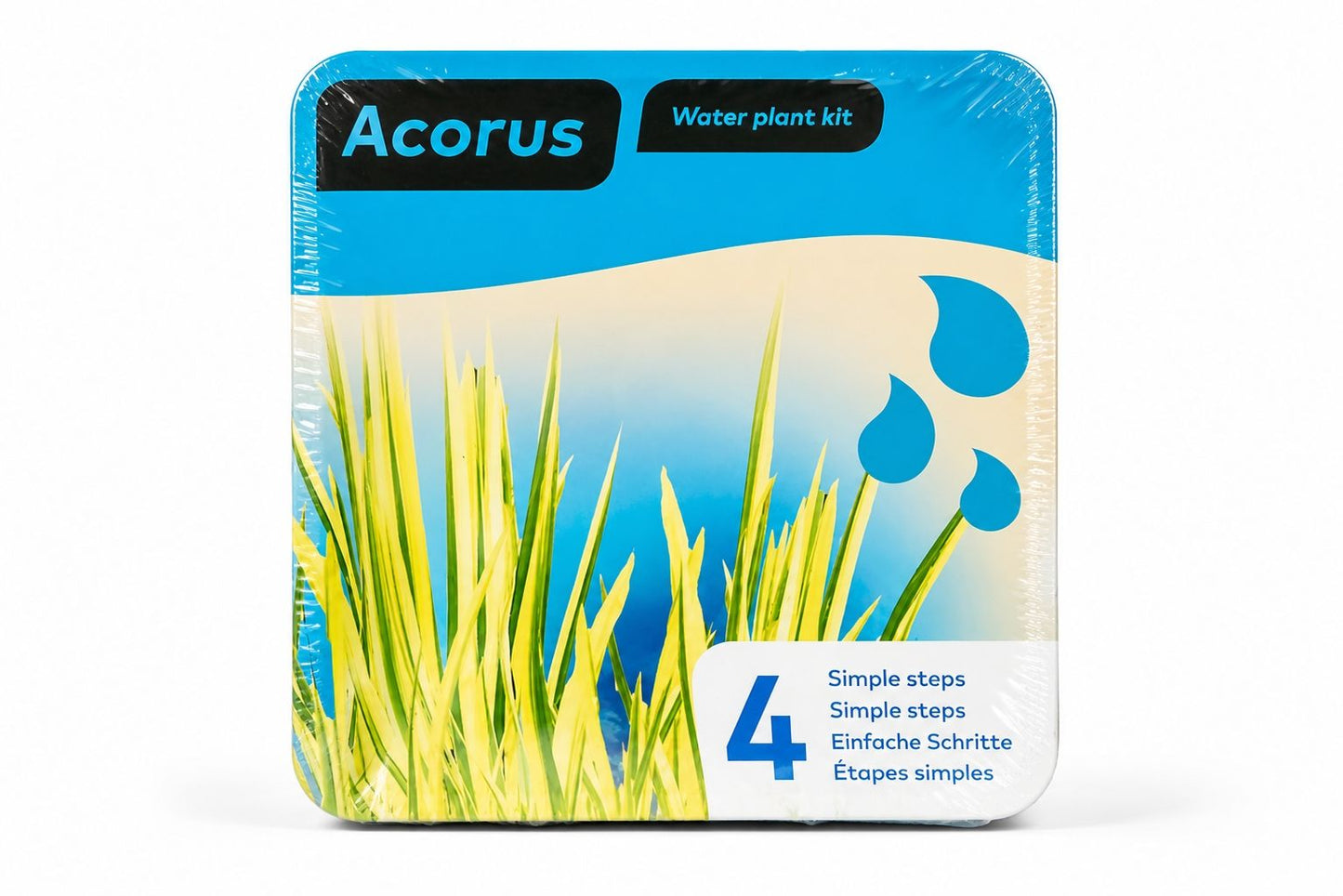 Kit complet plante de iaz Acorus, Moerings