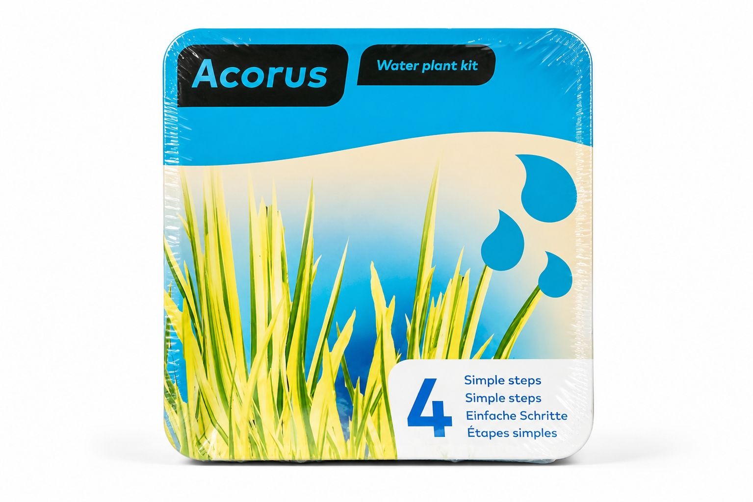 kit complet plante de iaz Acorus Moerings cu cos si substrat inclus