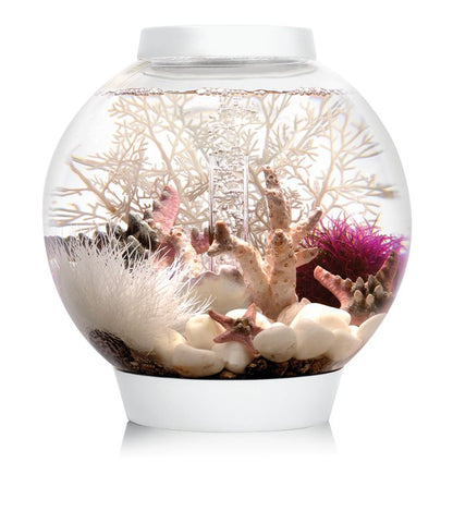 acvariu sferic Oase biOrb CLASSIC 15 LED alb cu decor marin
