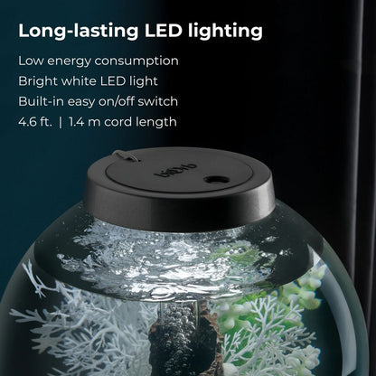 acvariu Oase biOrb CLASSIC 30 LED negru cu iluminare LED alba eficienta