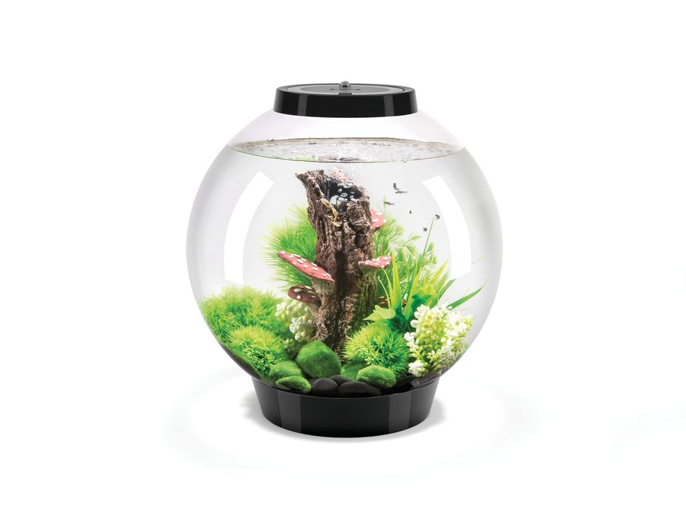 acvariu Oase biOrb CLASSIC 30 LED negru amenajat decorativ