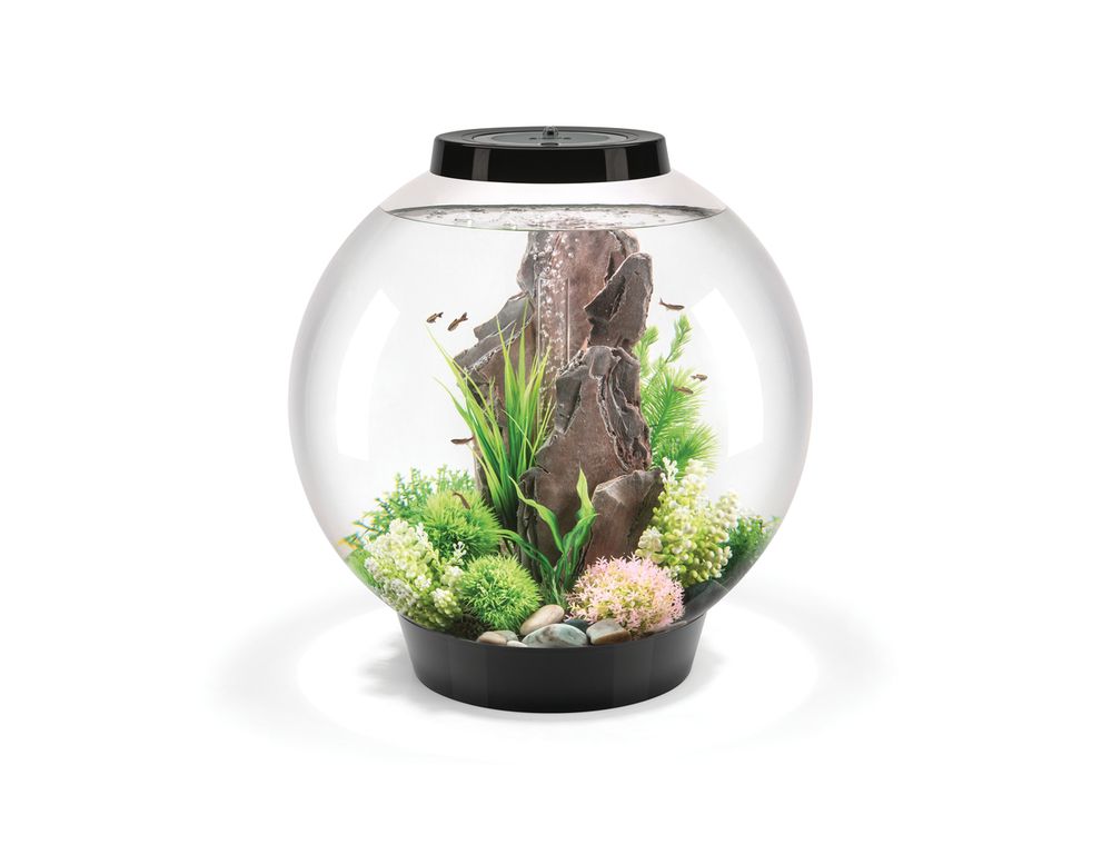Acvariu Oase biOrb CLASSIC 60 LED negru, 60l, amenajat cu decor din piatra si plante decorative
