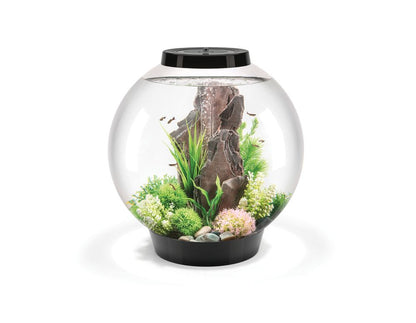 Acvariu Oase biOrb CLASSIC 60 LED negru, 60l, amenajat cu decor din piatra si plante decorative