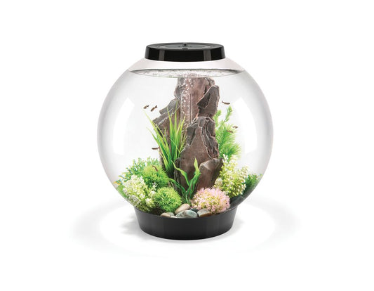 Acvariu Oase biOrb CLASSIC 60 LED negru, 60l, amenajat cu decor din piatra si plante decorative