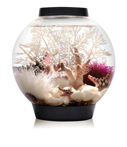 Acvariu Oase biOrb CLASSIC 15 MCR negru cu decor marin colorat