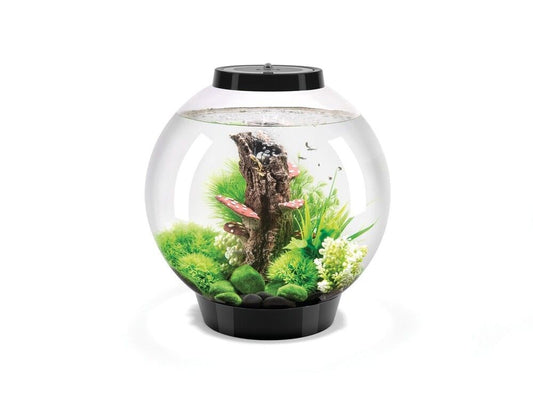 Acvariu Oase biOrb CLASSIC 30 MCR negru cu decor verde si LED multicolor