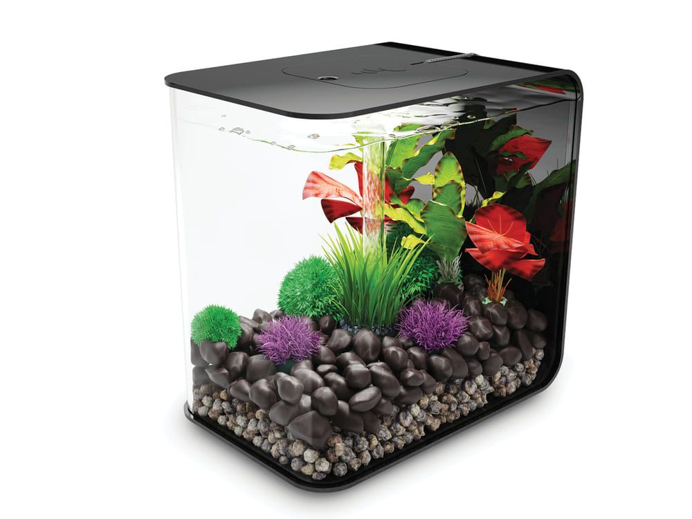 Acvariu Oase biOrb FLOW 30 LED negru, 30l, cu decor modern si plante colorate