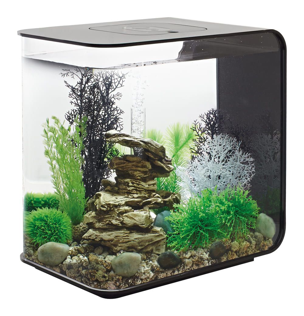 Acvariu Oase biOrb FLOW 30 LED negru, 30l, amenajat cu plante verzi, decor din piatra si fundal negru