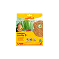 Frunze de Catappa, Sera Catappa Leaves - M