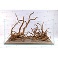 Lemn decorativ pentru acvarii  i terarii, Red Moor -  mall 20-30 cm