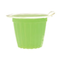 Borcan cu recipiente cu gelatina cu diverse arome pentru hrana reptilelor, Komodo Jelly Pots Fruit Mix Jar, 60 buc.