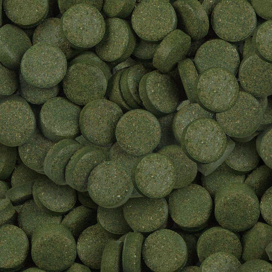 Tablete cu 24% spirulina, Sera Spirulina Tabs Nature, 100 tablete, 60 g