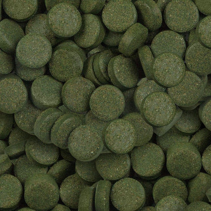 Tablete cu 24% spirulina, Sera Spirulina Tabs Nature, 100 tablete